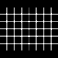 Count the Dots