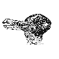 Duck or Rabbit?