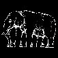 Count the Elephant's Legs